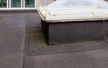 disadvantages of Hallonsford flat roofs